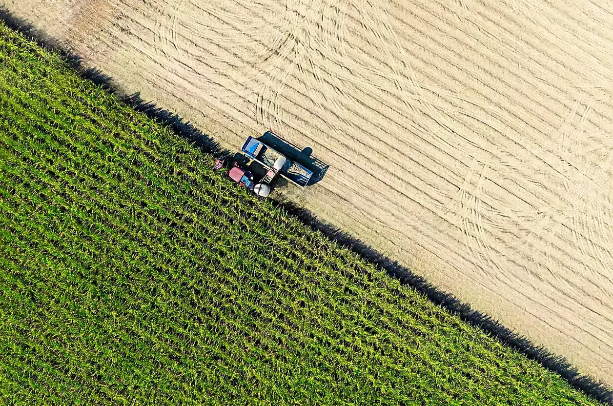 Differentials and Benefits