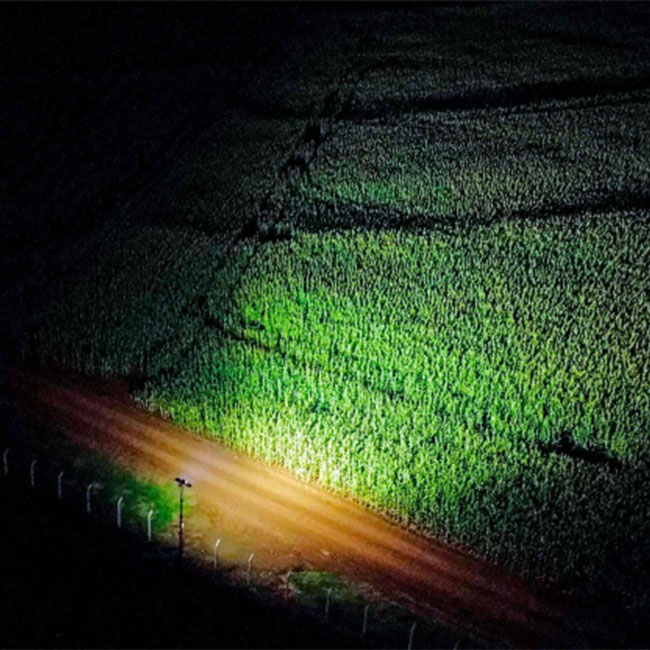 Torre de iluminação fotovoltaica