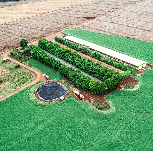 Bioplanta e Subprodutos